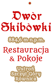 logo skibowki